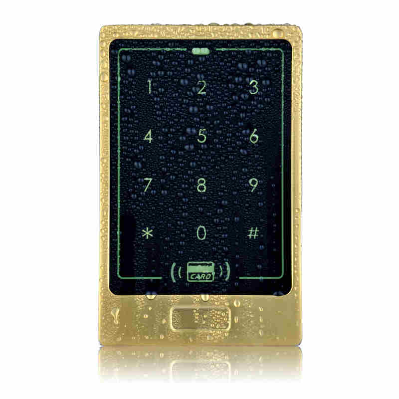 C20金色防水